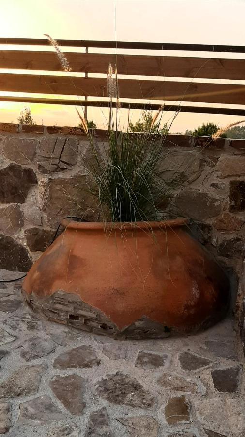 Savvas Brian Mountain House In Paphos Villa Pendalia Exterior foto