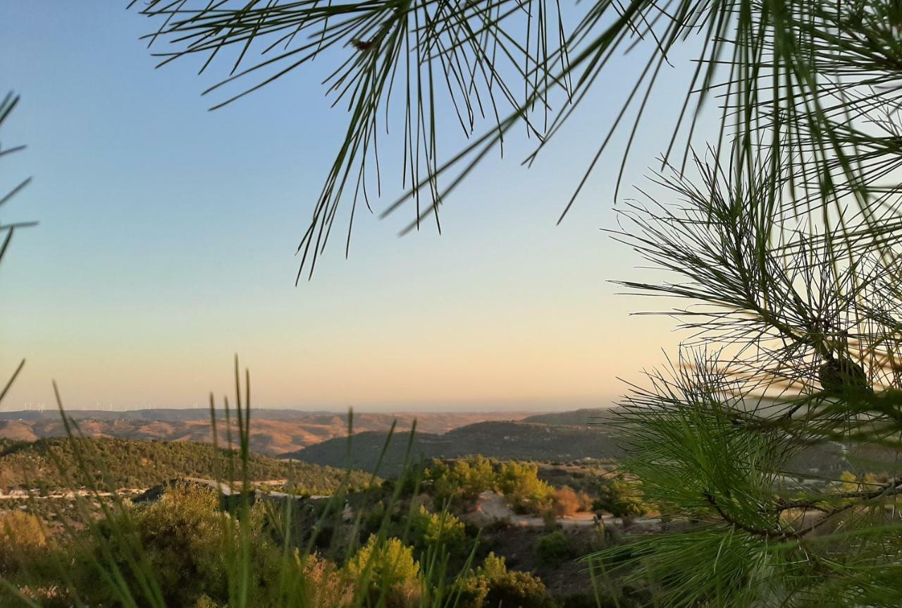 Savvas Brian Mountain House In Paphos Villa Pendalia Exterior foto